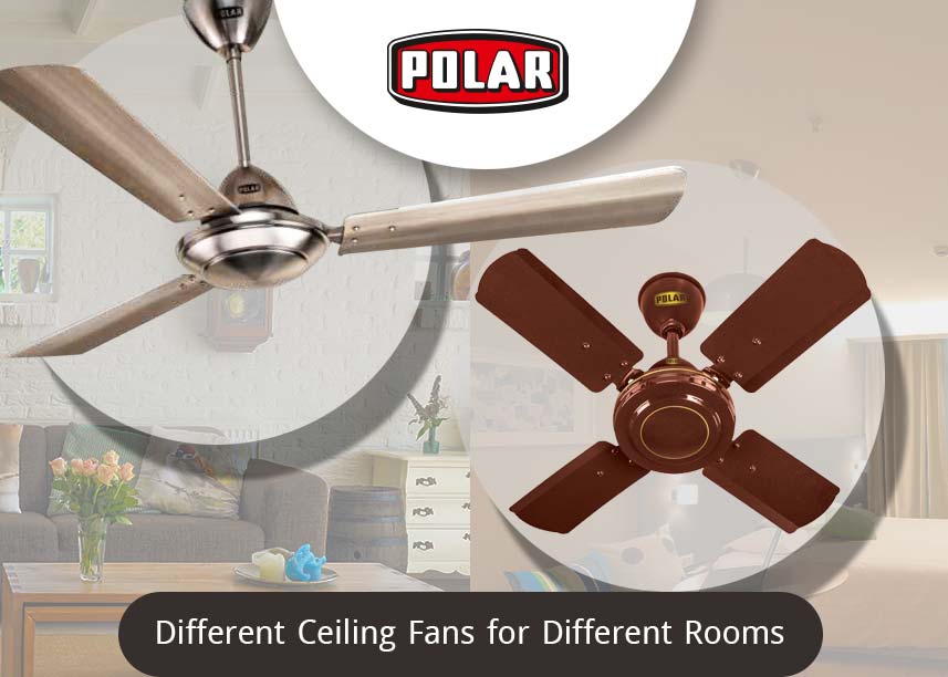 decorative ceiling fans