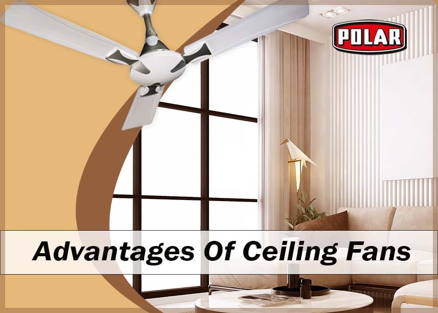 Best 10 Ceiling Fans Archives Polar, Who Makes High Quality Ceiling Fans
