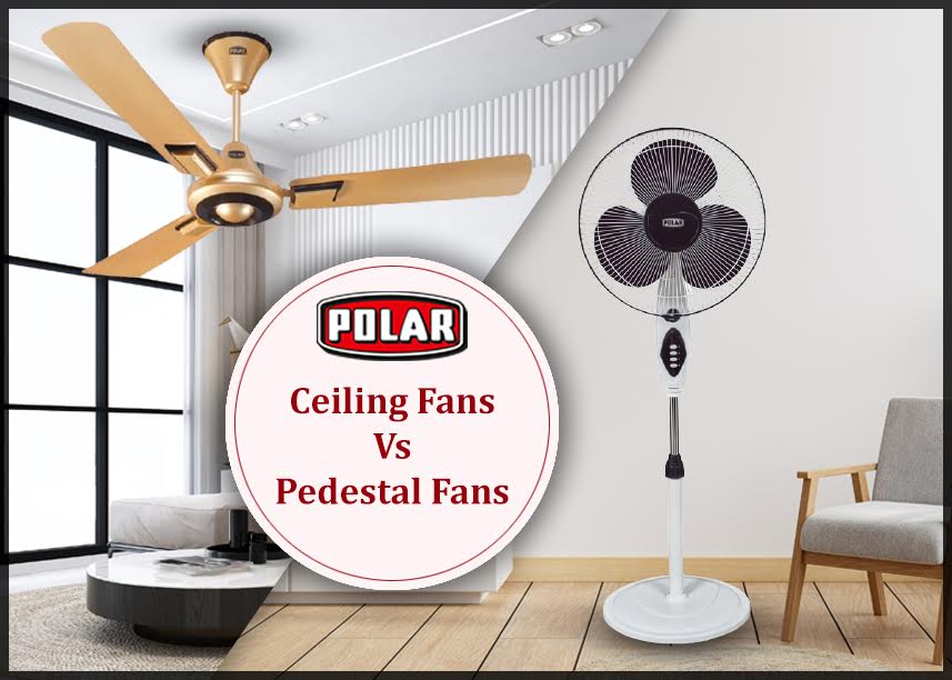best pedestal and ceiling fans
