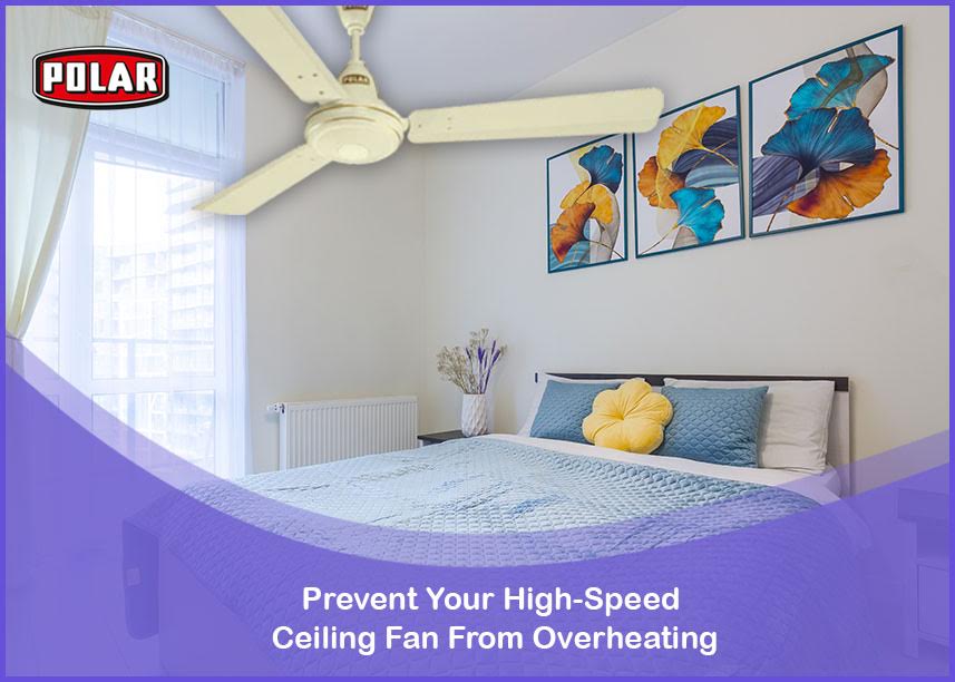 Polar ceiling fans