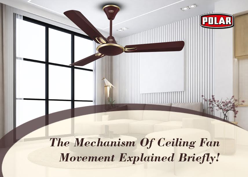 Ceiling Fan Rotation, How Many Cfm For Ceiling Fan