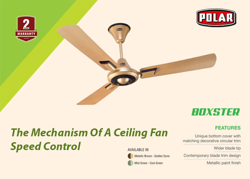 Sd Control In Ceiling Fans, Interesting Facts About Ceiling Fans