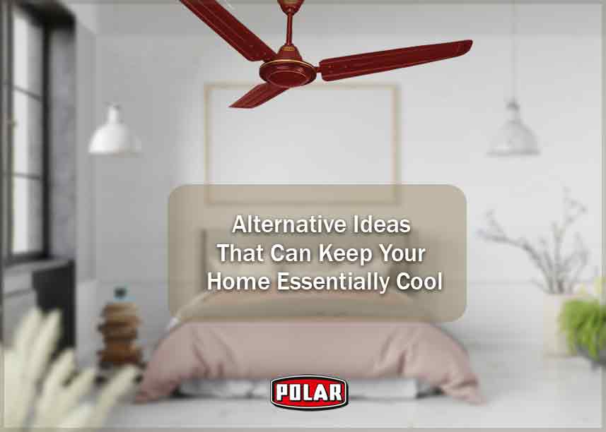 Polar ceiling fans