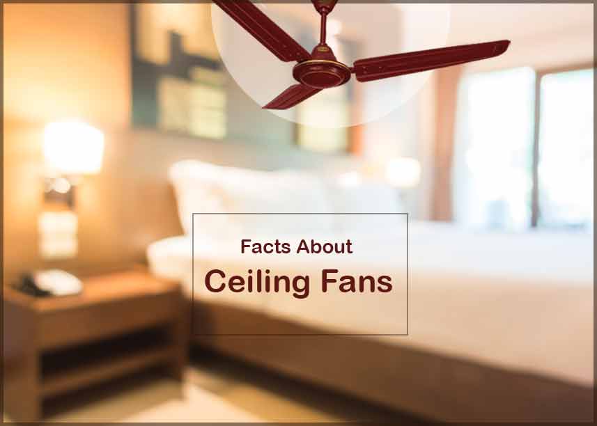Polar high speed ceiling fan