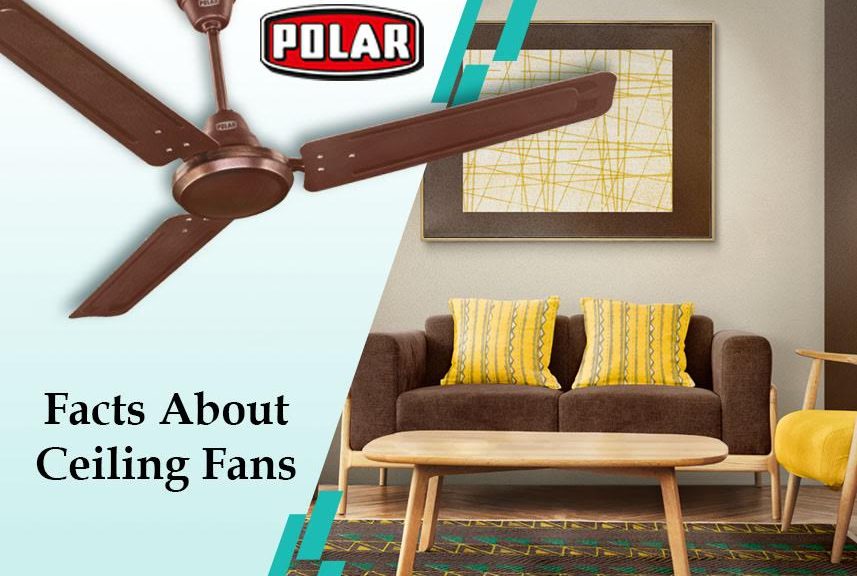 Luxury Ceiling Fans - Shades of Light