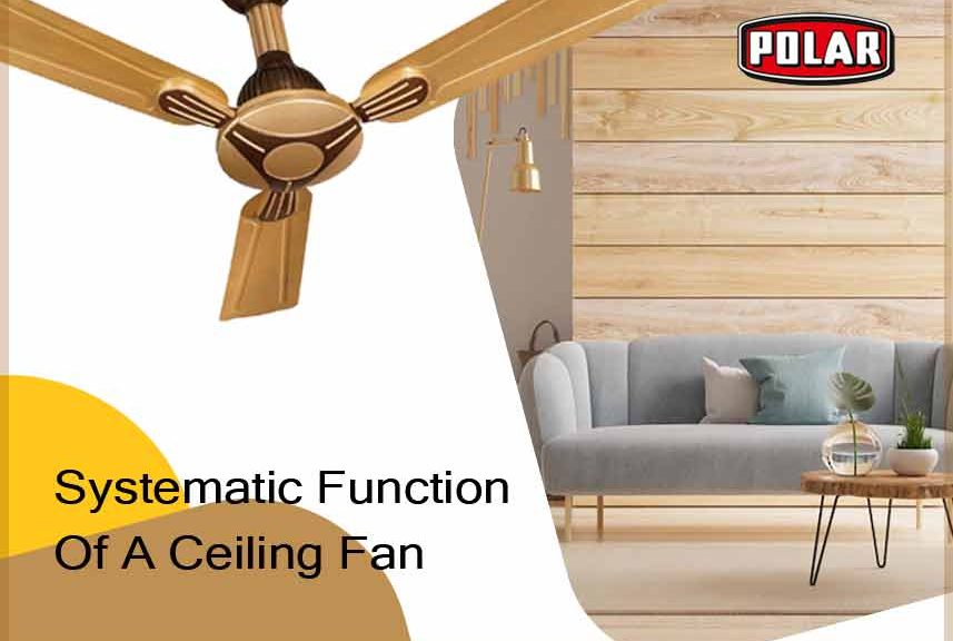 ceiling fan functions